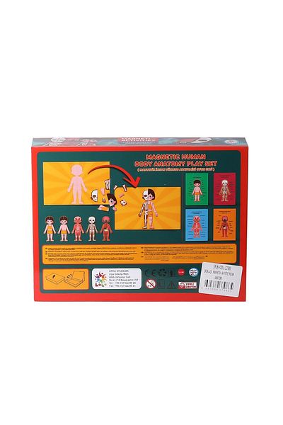 Mulvix Lc986 Magnetic Activity Human Anatomy -Laço