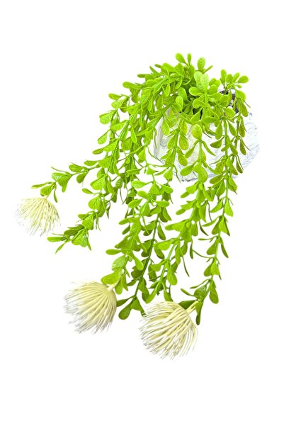 YAPAY ÇİÇEKÇİNİZ ΤΕΧΝΗΤΟ ΚΡΕΜΑΣΤΟ ΦΥΤΟ ΣΑΛΑΜΑΡΙΝΑΣ ΜΕ ΠΕΤΡΑ ΣΕ ΜΠΕΤΟΝ ΣΚΑΛΙΑΡΙΑ