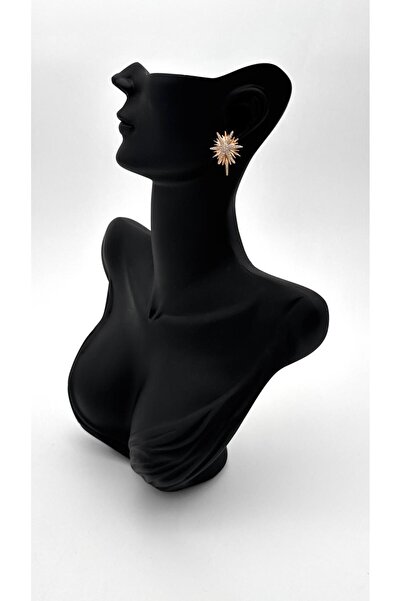 ELİOSA أقراط من الفولاذ بحجر الزركون الذهبي غير القابل للتلطيخ