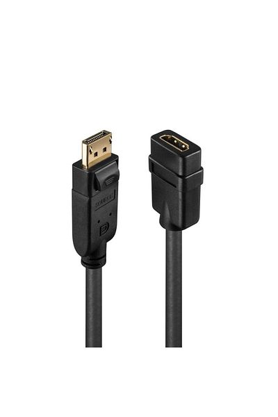 LİNDY Adaptor LY-41005, DisplayPort 1.2 to HDMI 1.3, negru
