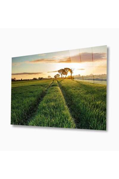 idealizbiz Pictură din sticlă Nature 4 mm Sticlă temperată durabilă