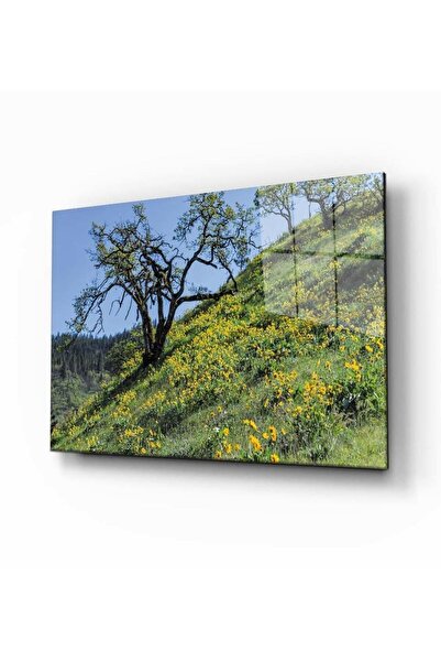 idealizbiz Masa din sticla temperata natura