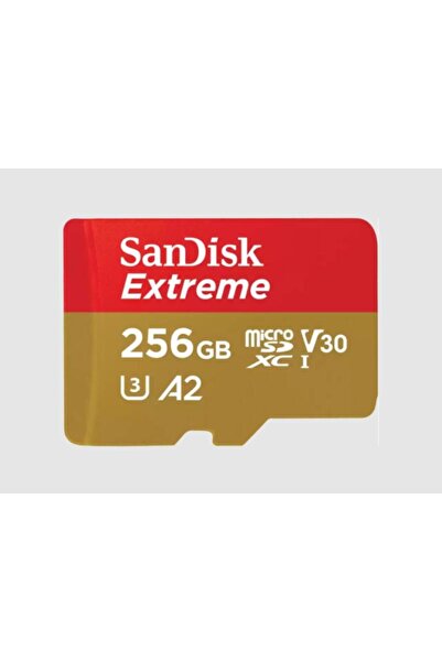 SanDisk Carduri memorie MICROSDXC 256GB CL10 SDSQXAV-256G-GN6MA
