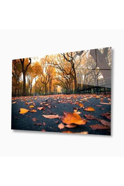 idealizbiz Pictură din sticlă Nature 4 mm Sticlă temperată durabilă