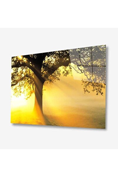 idealizbiz Pictură din sticlă Nature 4 mm Sticlă temperată durabilă