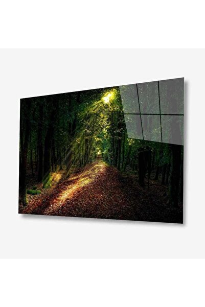 idealizbiz Pictură din sticlă Nature 4 mm Sticlă temperată durabilă