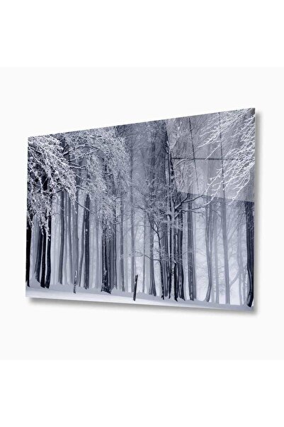 idealizbiz Pictură din sticlă Nature 4 mm Sticlă temperată durabilă