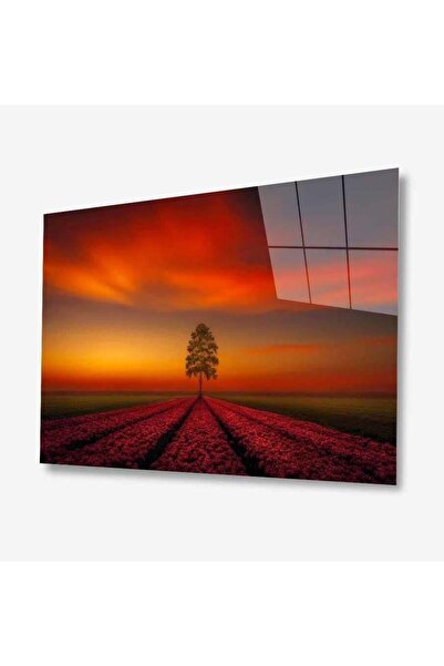 idealizbiz Pictură din sticlă Nature 4 mm Sticlă temperată durabilă