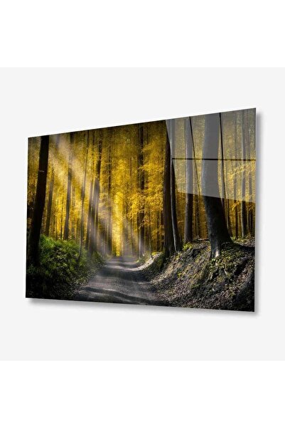 idealizbiz Pictură din sticlă Nature 4 mm Sticlă temperată durabilă