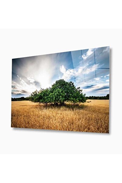 idealizbiz Pictură din sticlă Nature 4 mm Sticlă temperată durabilă