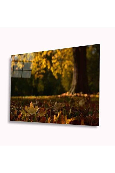 idealizbiz Tablă din sticlă de toamnă 4 mm Sticlă temperată durabilă