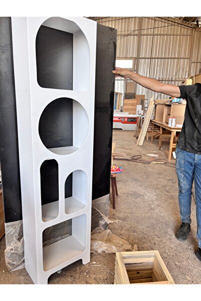 Özçelik Lambiri Niş,Çok Amaçlı Dolap, Kitaplık