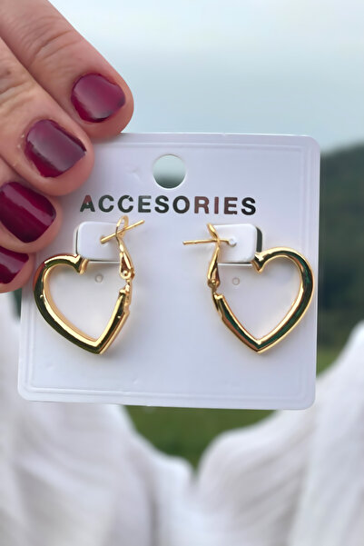 TAKIPORT Heart Women's Earrings