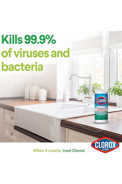 Clorox Disinfecting Wet Wipes Fresh Scent 35 pcs