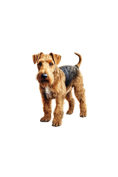 INOVATIX Set de 8 piese, Autocolant câine Airedale Terrier, INOVATIX®. 6 cm