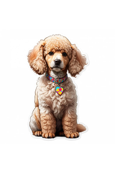 INOVATIX Set de 8 piese, autocolant câine pudel cu medalion, INOVATIX®. 6 cm