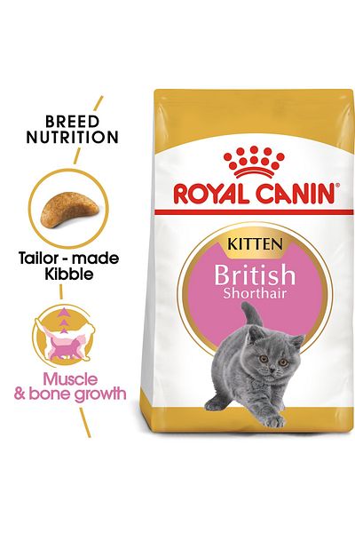 Royal Canin Royal Canin Feline Breed Nutrition British Shorthair Kitten 2 KG