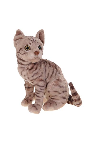 hak-iş oyuncak Plush 43 cm Cat