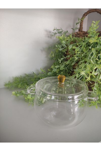 CAM Pot - Mini Pot - Borosilicate Pot - Fire Resistant - 350 ml