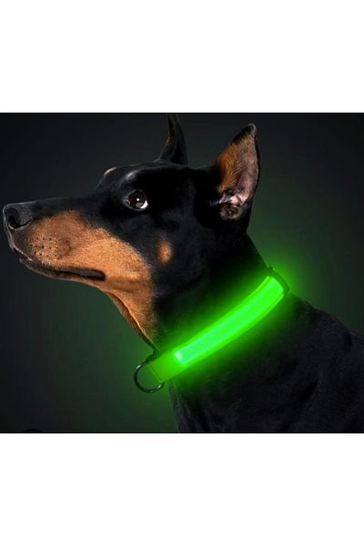 OEM Happy Oliwe LED Collar for Dogs – Adjustable, USB, size M