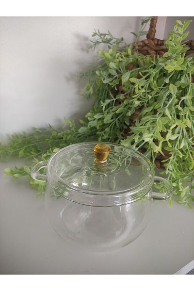 CAM Pot - Mini Pot - Borosilicate Pot - Fire Resistant - 350 ml