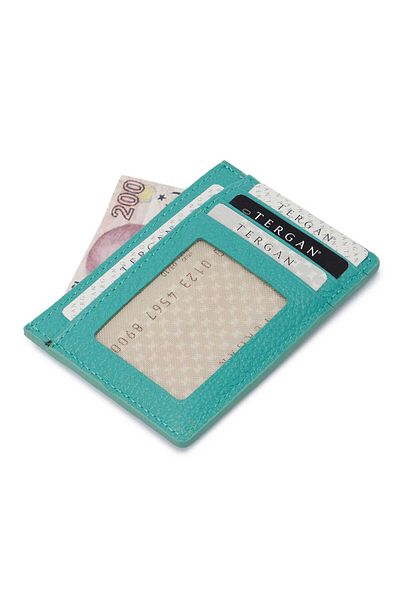 Tergan Blue Leather Unisex Credit Card Holder - S1Kk00001676-N29