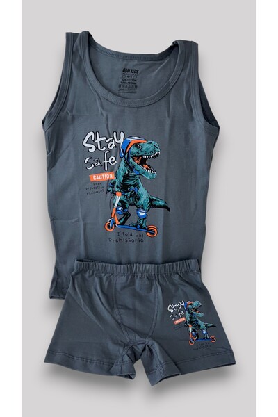 ADN Underwear Adn Kids Boy's Singlet & Boxer Underwear Set – Dinosaur