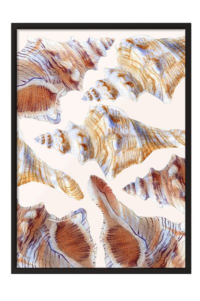 Postifull Black Framed Painting, Shells, Watercolor, Beige, Earth Tones Color Poster, 2025 Summer Selection, No:10