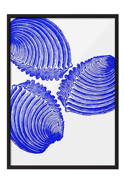 Postifull Black Framed Painting, Shells, Illustration, Blue, White Color Poster, 2025 Summer Selection, No:109853
