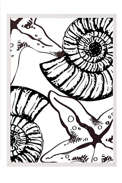 Postifull White Framed Painting, Ammonite, Starfish, Illustration, Black, White Color Poster, 2025 Summer Selection