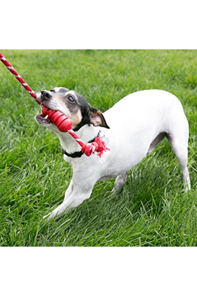 Kong Dental Dog Toy with Dental Cleaning Rope S