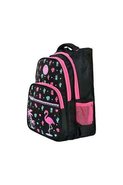 Waddell Rucsac pentru școală primară cu model Flamingo și cutie termică pentru prânz cu model Flamingo