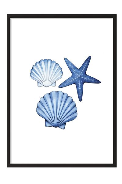 Postifull Black Framed Poster, Seashell, Illustration, Blue Color Poster, Summer Selection of 2025, No:109601