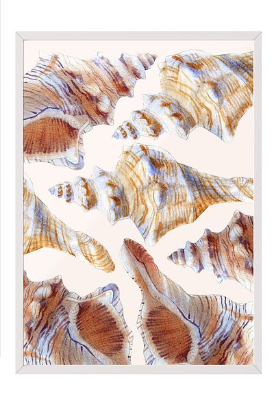 Postifull White Framed Painting, Shells, Watercolor, Beige, Earth Tones Color Poster, 2025 Summer Selection, No:10