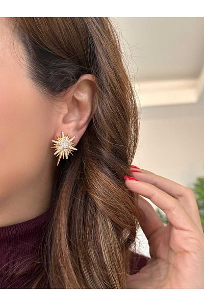 stainles steel Steel Gold North Star 316L Steel Tarnish Free Pole Star Steel Earrings