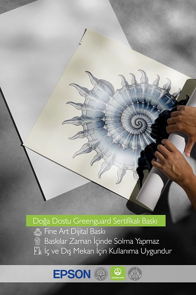 Postifull Poster cu cadru alb, scoici, ilustrație, poster de culoare albastră, selecție de vară 2025, NR:109574