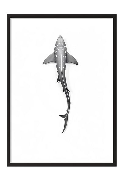 Postifull Black Framed Poster, Long Whale, Illustration, Gray Color Poster, 2025 Summer Selection, No:109610