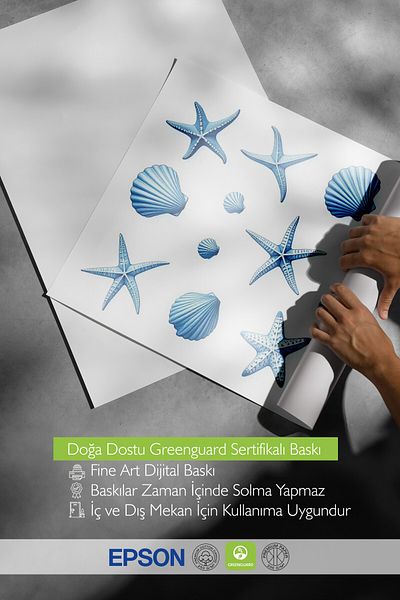 Postifull Poster cu cadru alb, scoici și stele, ilustrație, poster de culoare albastră, vara 2025
