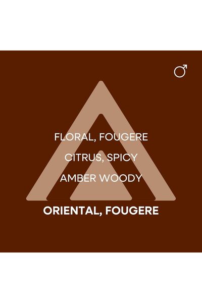 Colour Me Gold By Milton Lloyd For Men - Eau De Toilette, 90ml