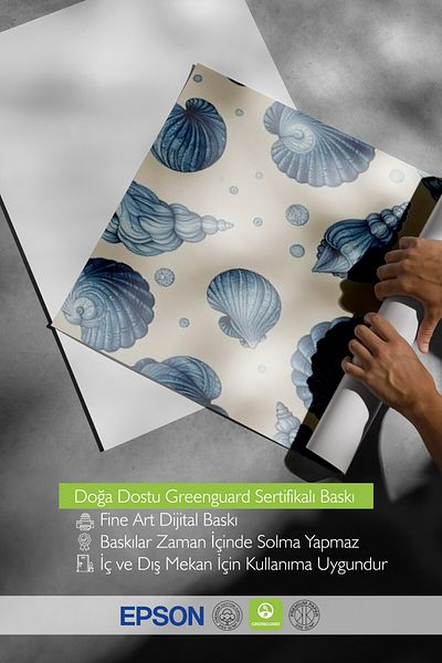 Postifull Wooden Framed Poster, Seashells, Illustration, Blue Color Poster, Summer Selection 2025, No:109692