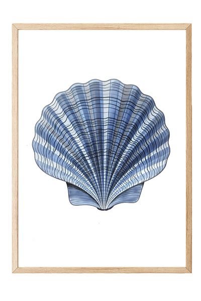 Postifull Wooden Framed Painting, Blue Seashell, Illustration, Blue Color Poster, 2025 Summer Selection, No:10972