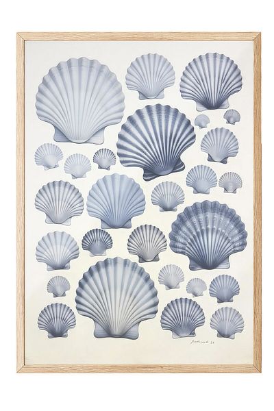 Postifull Wooden Framed Poster, Seashells, Illustration, Blue Color Poster, Summer Selection 2025, No:109674