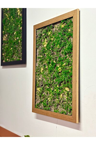 NS BAMBU DESIGN 2 Lİ TASARIM TABLO DUVAR yosun DİKEY BAHÇE ofis cafe tasarım