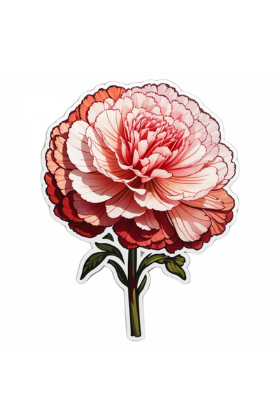 INOVATIX Set de 8 bucăți, autocolant garoafă cu coadă scurtă, INOVATIX®. 6 cm