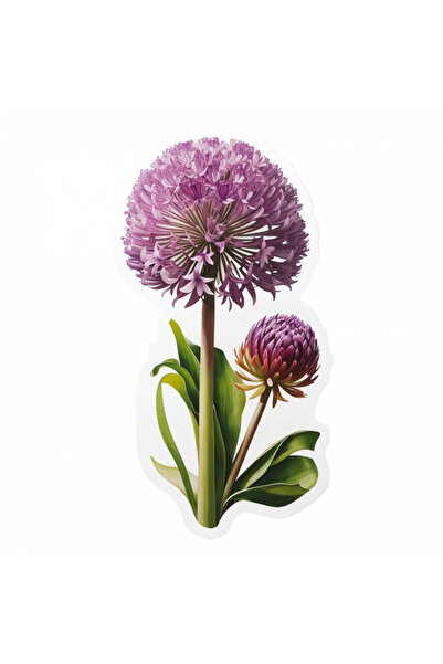 INOVATIX Set de 8 bucăți, autocolant Flori de Allium, INOVATIX®. 6 cm