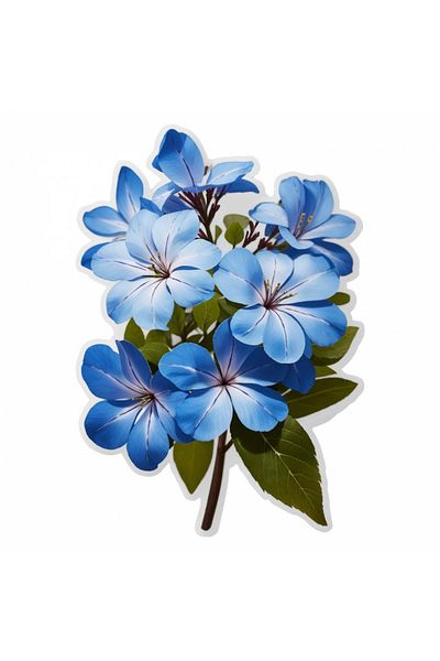 INOVATIX Set de 8 autocolante, Floare de dragoste Plumbago, INOVATIX®. 6 cm