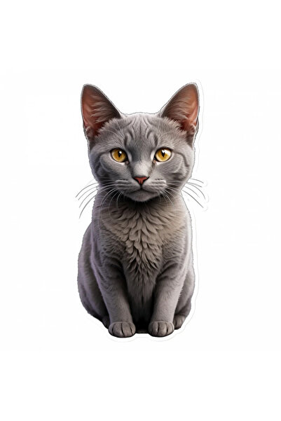 INOVATIX Σετ 8 τεμαχίων, Αυτοκόλλητο Korat Cat με μουστάκια, INOVATIX®. 6 εκ.