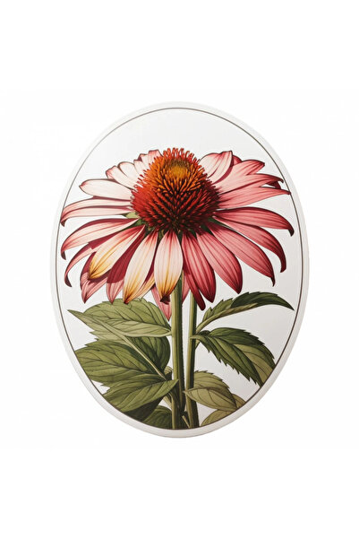 INOVATIX Set de 8 bucăți, autocolant cu flori de Echinacea, INOVATIX®. 6 cm