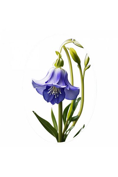 INOVATIX Set of 8, Bluebell Flower Sticker, INOVATIX®. 6 cm
