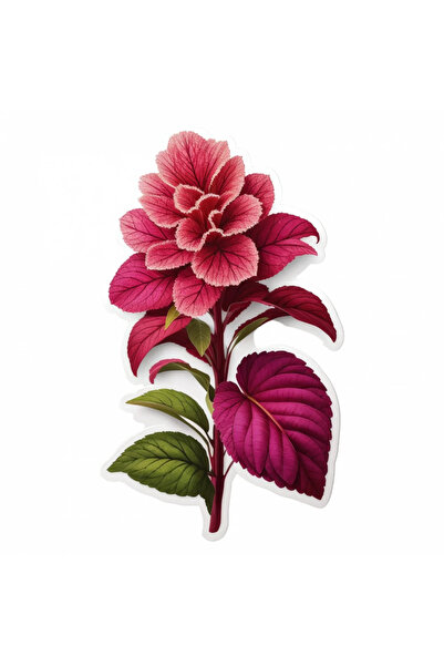 INOVATIX Set de 8 bucăți, autocolant floare de amarant, INOVATIX®. 6 cm